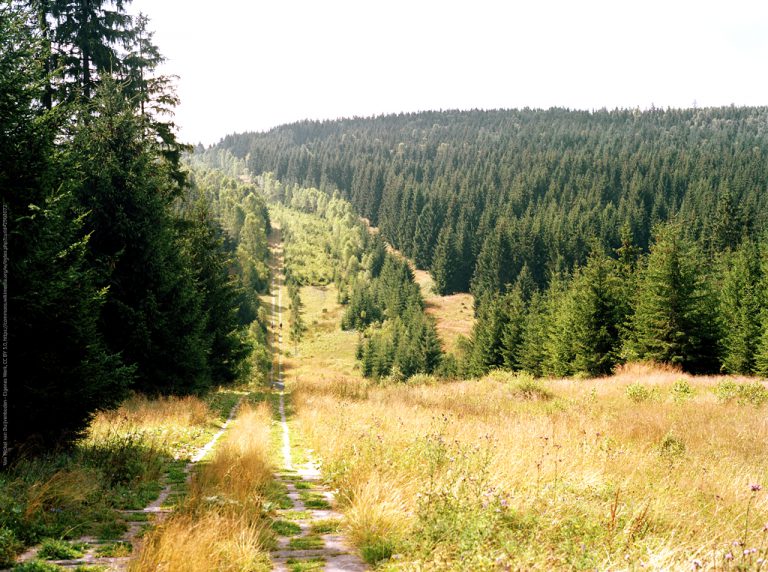 Grünes Band: Nationales Naturmonument ist gesamtdeutsche Erfolgsgeschichte